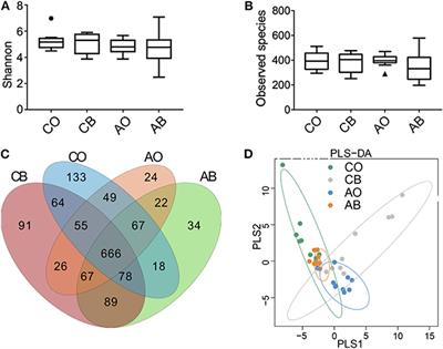 Interaction of Oral and Toothbrush Microbiota Affects Oral Cavity Health